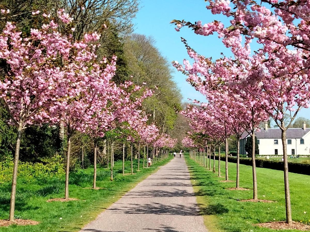 拉克菲尔德住宿加早餐旅馆 基拉尼 外观 照片