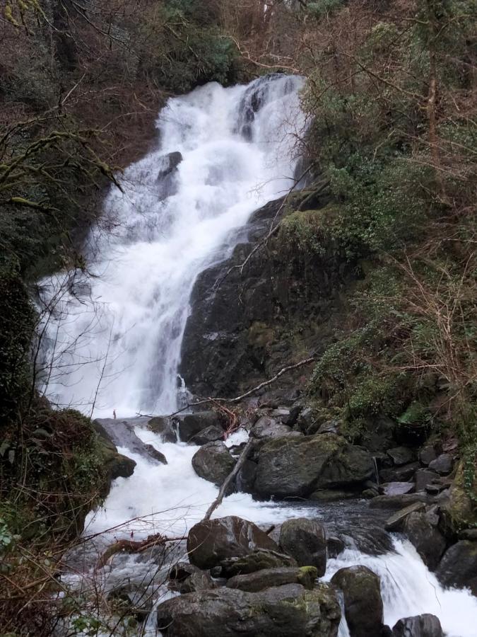 拉克菲尔德住宿加早餐旅馆 基拉尼 外观 照片